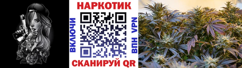 Хочу наркоту Троицк A PVP  МЕФ  ГАШИШ  Каннабис 