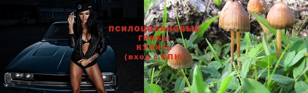 спиды Майский
