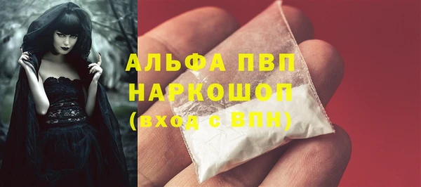 гашик Магас
