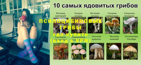 гашик Магас