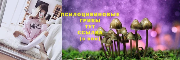 спиды Майский