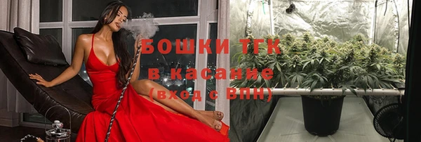 гашик Магас
