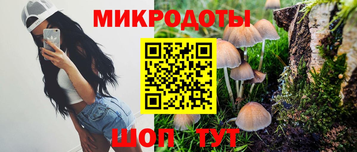 Псилоцибиновые грибы Magic Shrooms Троицк